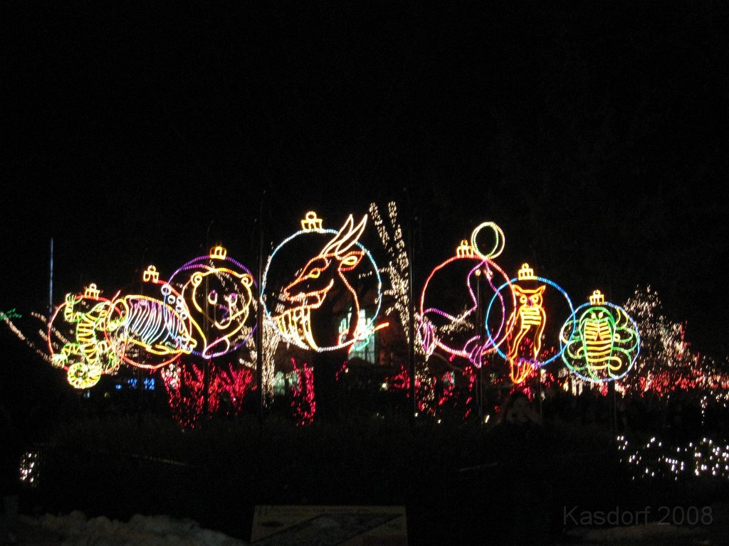 Toledo Zoo Lights 2008 040.jpg - The regular visit to the Toledo Ohio Zoo to see the Christmas Lights displays. New this trip were the "Dancing Lights", displays flashing in time with the Christmas Songs.